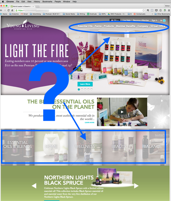 Young Living mlm company website